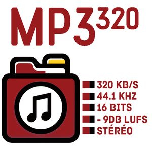 MP3 320 Kb/s -9dB LUFS, 44.1 kHz , 16 bits